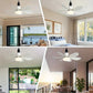 🌬️Surprise Price: Only £15.98!!🔥SmartBreez™ 40W LED Ceiling Fan Light – 20.5” Ultra-Quiet with Remote 🎯 | E27 + FREE B22 Adapter 🔌 | For Bedroom 😴, Kitchen 👩‍🍳 & Garage 🛠️ – UK Ready! 🇬🇧