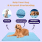 ❄️Hot Summer Sale - 50% OFF❄️🐾Pet Cooling Mat (4x Enhanced Cooling Effect)🐶 A Summer Must-Have For Every Pet Owner