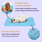 ❄️Hot Summer Sale - 50% OFF❄️🐾Pet Cooling Mat (4x Enhanced Cooling Effect)🐶 A Summer Must-Have For Every Pet Owner
